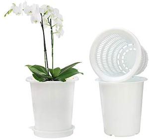 lot 63498 image: Meshpot 2Pcs 5 Inch Plastic Orchid Pots with Holes, Decorative Planter Pots for Indoor Outdoor Flower Plants, Herbs, Snake Plants and Succulents   (Retails $16.00)