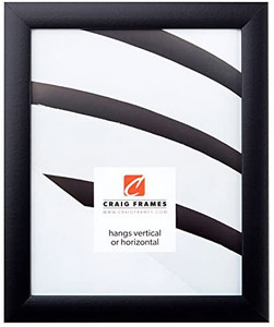 lot 64304 image: Craig Frames 1WB3BK Picture Frame, Smooth Finish, 1 Wide, Black