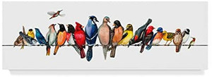 lot 66076 image: Trademark Fine Art Large Bird Menagerie Ii by Wendy Russell, 8 x 24-Inch