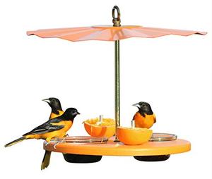 lot 49484 image: Kettle Moraine Super Oriole Recycled Orange Fruit, Jelly, Mealworm Bird Feeder wOrange Roof