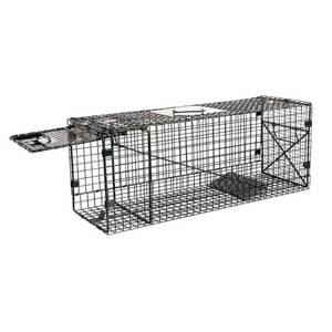 lot 49510 image: 32 Medium Folding Live Trap