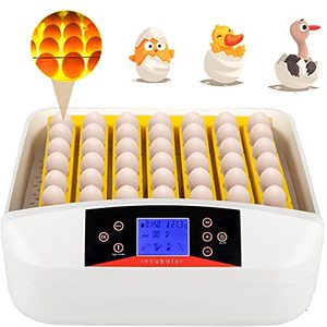 lot 49727 image: Nollapo 55 Egg Capacity Incubator with One Bottom Light Egg Tester