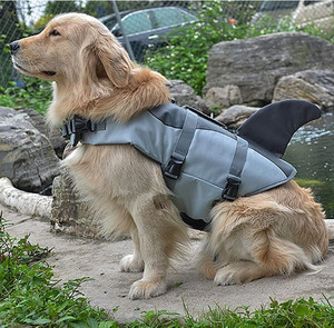lot 49819 image: Ranphy Dog Life Vest, Shark Fin, S - Chest 12.6 21.3, Back11.8