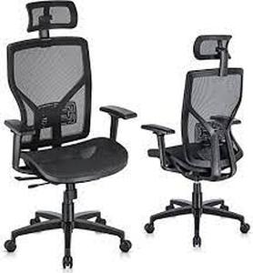 lot 25229 image: Ergonomic Office Chair with Lumbar Support Back, Adjustable Headrest- Retail$114.99