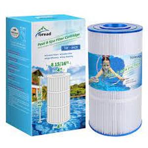 lot 25239 image: Toread Pool and Spa Filter Cartridge