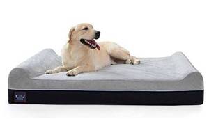 lot 7985 image: Laifug Orthopedic Memory Foam Extra Large Dog Bed with Pillow and Durable Water Proof Liner & Removable Washable Cover & Smart Design