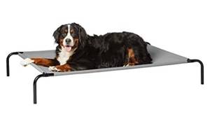 lot 8006 image: Amazon Basics Cooling Elevated Pet Bed, XL