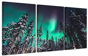 lot 67946 image: Kreative Arts Northern Lights Canvas Print Norway Nature Green Aurora Borealis Poster Snow Tree Forest Landscape Painting Wall Art Modern Giclee Artwork Ready To Hang 16x24inchx3pcs