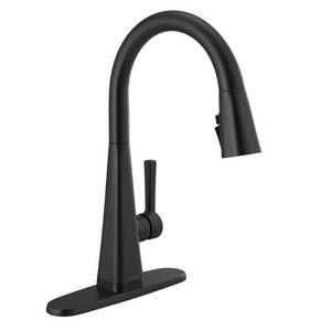 lot 10031 image: Delta Lenta Touch Single-Handle Pull-Down Sprayer Kitchen Faucet with ShieldSpray Technology in Matte Black