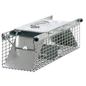 lot 22024 image: Havahart Small Squirrel 2-Door Animal Trap