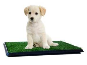 lot 33921 image: PETMAKER GRASS POTTY TRAINING PAD TRAY