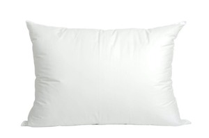 lot 25416 image: Blue Ridge Home Fashions White 400 Thread Count Pillow, King -Retail $74.42