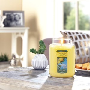 lot 518 image: Our Favorite Fall Scents Yankee Candle Vanilla Cupcake
