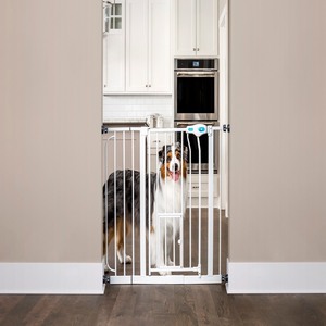 lot 2349 image: Carlson Pet Products Extra Wide Through Dog Gate with Door Pressure & Wall Mount Kit