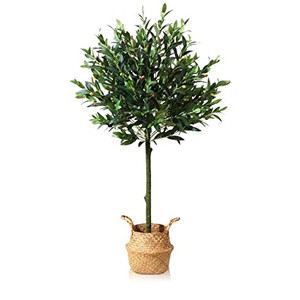 lot 3006 image: SOGUYI Artificial Olive Tree 4ft Tall Fake Potted Olive Silk Tree Artificial Plant for Home Decor Indoor,Come with Woven Seagrass Belly Basket Faux Topiary Ball Trees Perfect Housewarming Gift