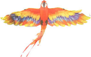 lot 3217 image: Large Mr. Macaw Kite for Kids and Adults  Best Beach Kite Easy to Fly for Outdoor Games and Activities  Best Social Distancing Sports and Recreation, Exercise and Enjoy Time with Family