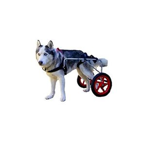lot 3309 image: Best Friend Mobility BFML Elite Dog Wheelchair, Large, Na