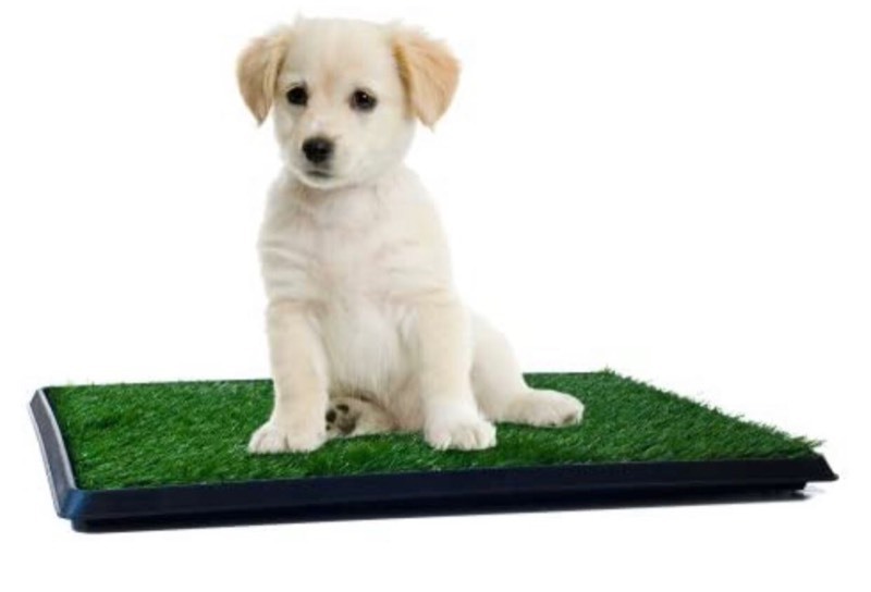 lot 5855 image: Artificial Grass Puppy Pad for Dogs and Small Pets �� Portable Training Pad with Tray �� Dog Housebreaking Supplies by PETMAKER (16 x 20)