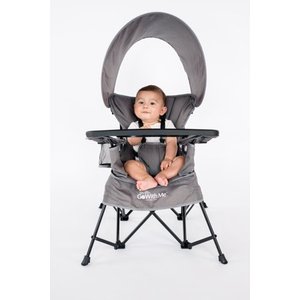 lot 50133 image: Baby Delight Go With Me Venture Deluxe Portable Chair