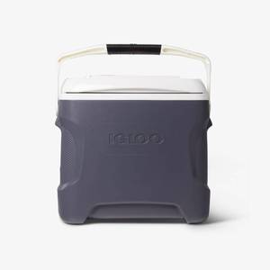 lot 50150 image: 00050374 28 qt. Thermoelectric Electric Ice Chest