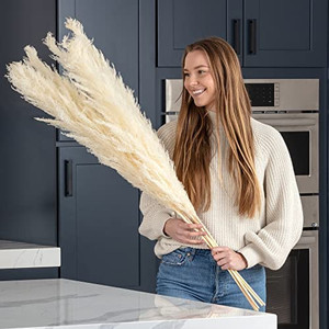 lot 62673 image: 5 Tall Stems of Beautiful Pampas Grass Decor Tall - White Large Pampas Grass for Home - Fluffy Pampas Grass Dried Pampas Grass Decor Perfect in Vase