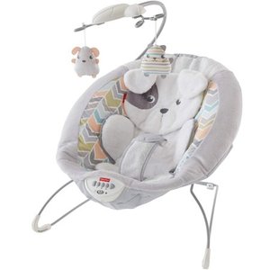 lot 63742 image: Fisher-Price Sweet Snugapuppy Dreams Deluxe Bouncer Snugapuppy FFP
