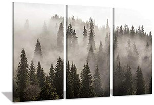 lot 67048 image: Natural Landscape Wall Art Paintings Photographic Artworks Dark Tree line with Foggy Misty Forest Pine Print on Wrapped Canvas for Decoration, Multi-Piece Image  (May not be exact stock photo)