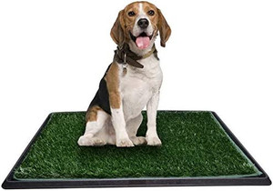 lot 67065 image: PICK FOR LIFE Dog Toilet Puppy Potty Trainer grass tray (old tray with one grass)