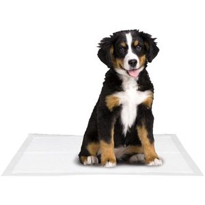 lot 67110 image: Dog for Dog Pet Training Puppy Pads for Dogs - Super Absorbent, Tear-Resistant and Durable - 5 Layers with Leak Protection for Puppies - 22x22 in (150 Pack)