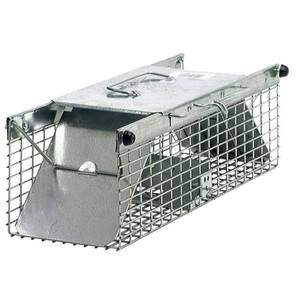 lot 6054 image: Havahart Small Squirrel 2-Door Animal Trap
