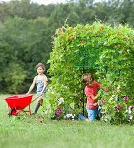 lot 7033 image: Grow with Me Garden Fort for Kids