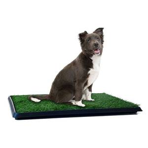 lot 49339 image: PETMAKER Puppy Potty Trainer,The Indoor Restroom for Pets 20 x 25 in