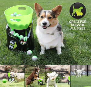 lot 49428 image: Godoggo Automatic Ball Thrower Launcher Auto Fetch Machine