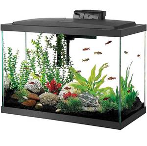 lot 29844 image: Aqueon Aquarium Starter Kit with LED Lighting - Missing Net