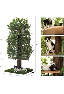 lot 73554 image: On2 Pets Cat Tree with Leaves Made in USA, Large Square Cat Condo & Cat Activity Tree in EverGreen
