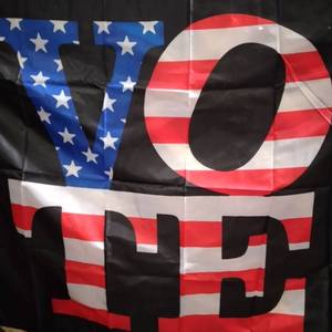 lot 9087 image: VOTE FLAG