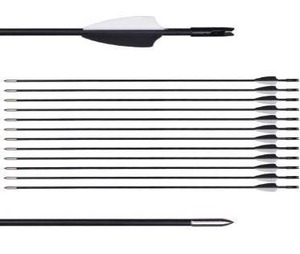 lot 10339 image: CUPID 31 Training Arrows-Archery Practice Target Arrows with Durable Shaft Blunt Tip for Kids Youth or Beginners on Recurve Bow Long Bow