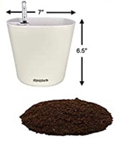 lot 74100 image: Window Garden Aquaphoric Self Watering Planter (7��)  Fiber Soil  Foolproof Indoor Garden. Decorative Planter Pot for House Plants, Flowers, Herbs, Violets, Succulents-Easy (Ivory MatteIvory Insert)
