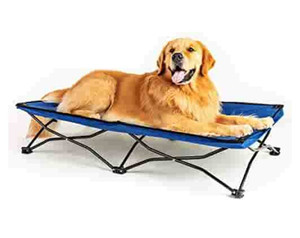 lot 50215 image: Maxpama Portable Elevated Dog Beds,Large