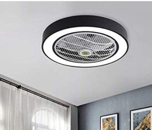 lot 50216 image: Jinweite Ceiling Fan with Light, 22in.