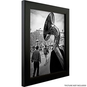 lot 50240 image: Craig Frames, 18in. x 24in. Picture Frame, Black