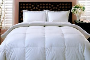 lot 50258 image: Blue Ridge Home Fashions Down Comforter,King