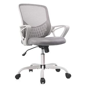 lot 67436 image: Home Office Chair, Mid Back Desk Chair Ergonomic Computer Chair Executive Rolling Swivel Height Adjustable Mesh Task Chair with Lumbar Support Armrest (Mesh Back, Grey)