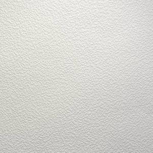 lot 9479 image: Brewster Paintable Vinyl Pre-Pasted Washable Wallpaper Roll (Covers 56 Sq. Ft.). 3 rolls