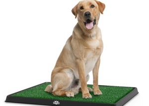 lot 316 image: PETMAKER Puppy Potty Trainer - The Indoor Restroom for Pets 20 x 25 in