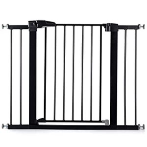 lot 439 image: Babelio Safety Gate