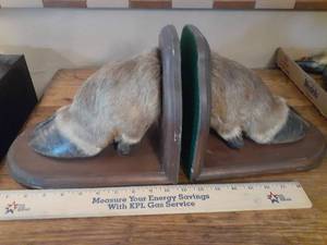 lot 1327 image: Bookends. Believed to be Elk hooves.
