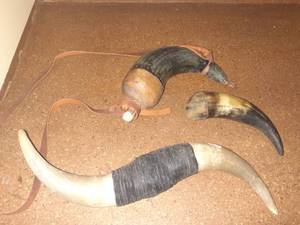 lot 1404 image: Bull horns. One is a noise maker(rattle) and another is powder horn