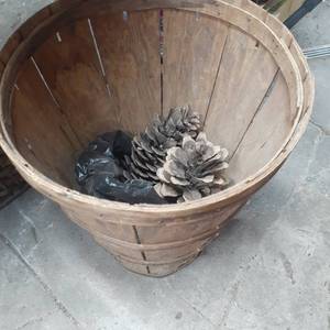 lot 3070 image: Tall bushel basket with 2 large pinecones