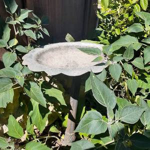 lot 4001 image: Bird bath. Approximately 28 tall